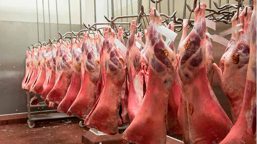 Protein diversification is a key pathway for food security, global health and climate action