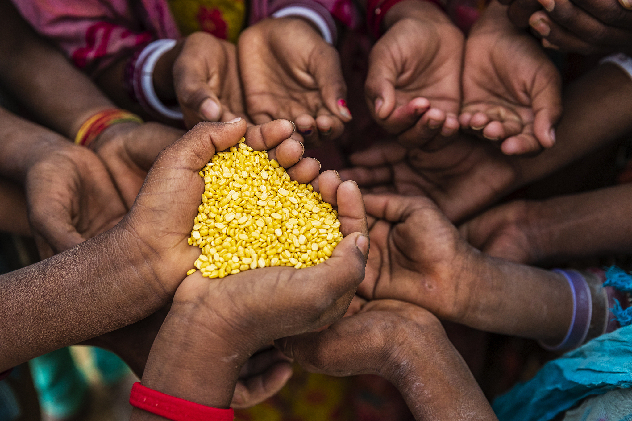 Climate Change Impact on Food Security and Human Health