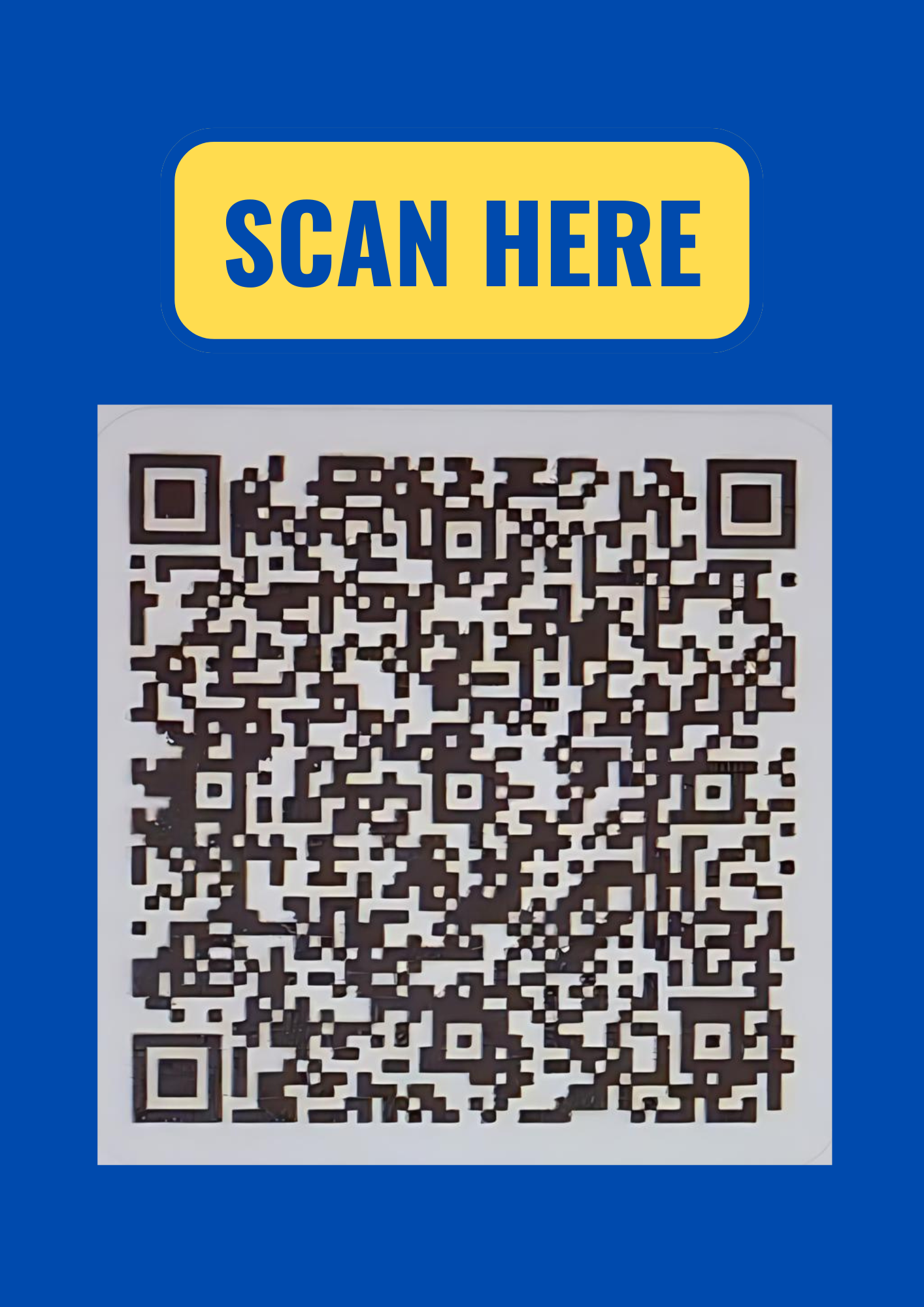 QR Code Scanner